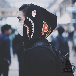 Bape Pullover