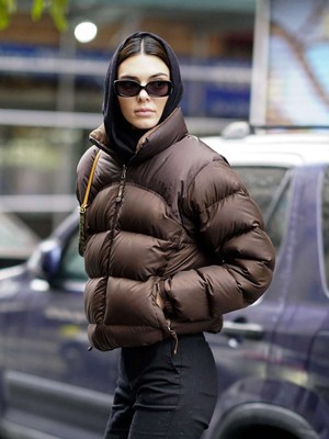 Brown TNF Jacket Nuptse