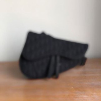 Dior Saddlebag