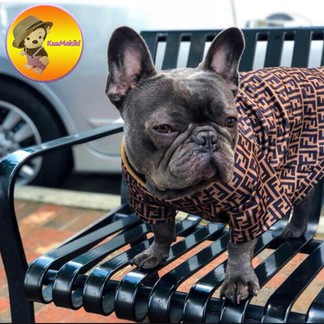 Fendi Dog Costume