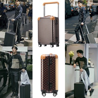 Louis Vuitton Luggage