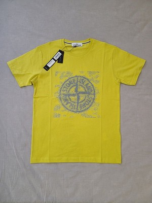 Stone Island T-Shirt (2NS84) (SS19)