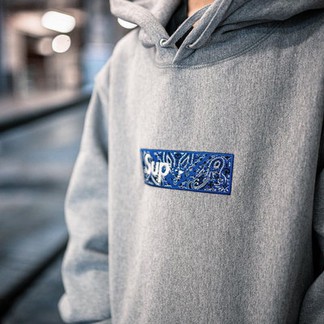 Supreme Bandana Bogo Hoodie (FW19)