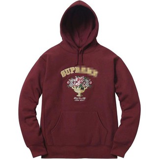 Supreme Centerpiece Hoodie