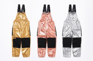 Supreme x TNF Metallic Gold Mountain Ski Pants
