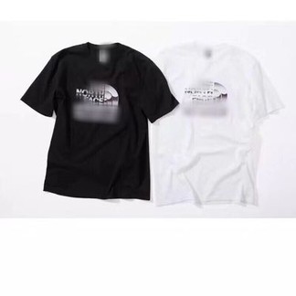 Supreme x TNF Metallic Logo T-Shirt